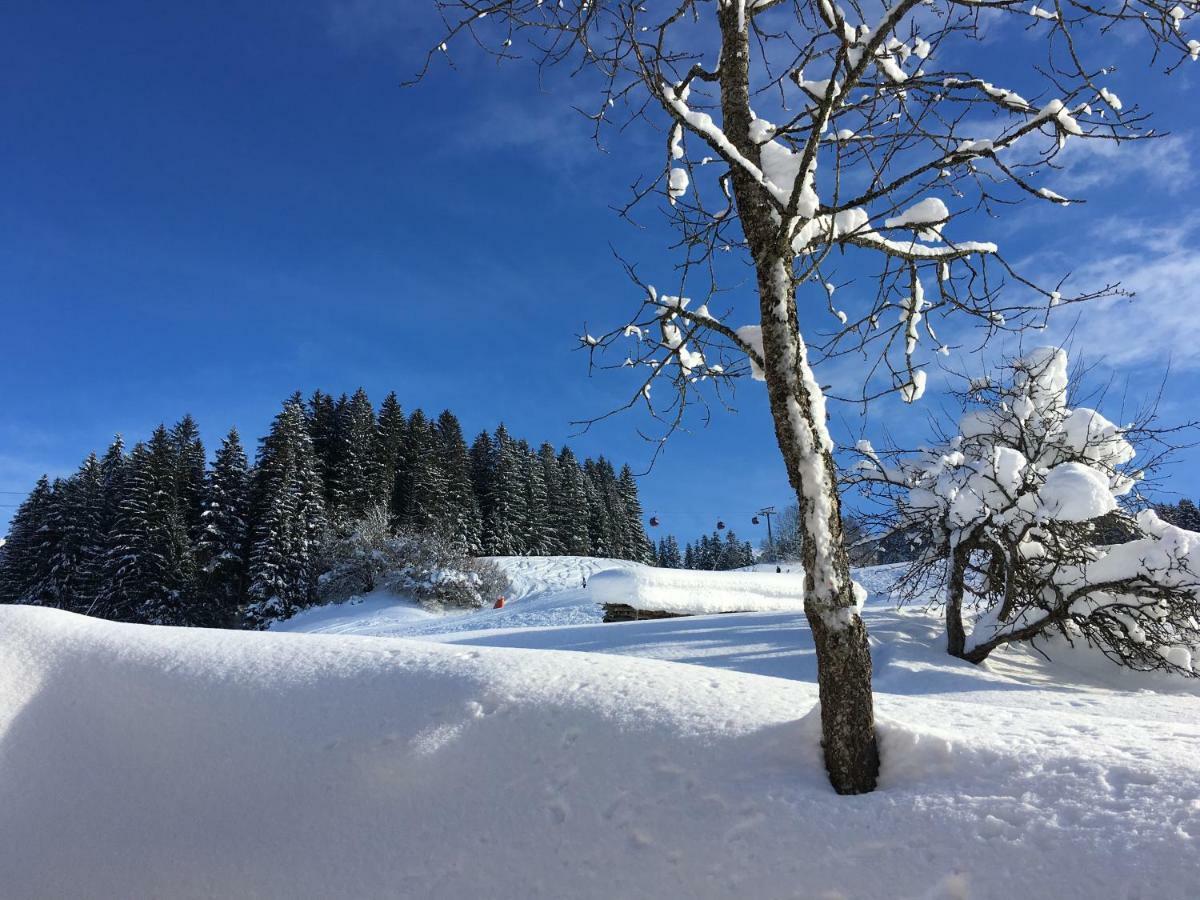 Ferienwohnung Beim Rohrer Kirchberg in Tirol Exterior foto